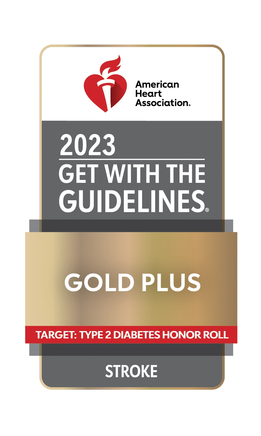 2023 Get with the Guidelines Gold Plus in Stroke 2023 Get with the Guidelines Gold Plus in Stroke